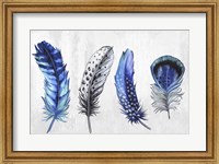 Feather Line up Fine Art Print