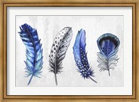 Feather Line up Fine Art Print