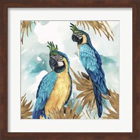 Golden Parrots Fine Art Print