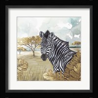 Golden Zebras Framed Print
