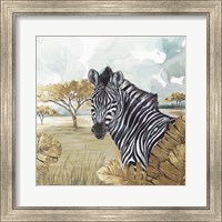 Golden Zebras Fine Art Print