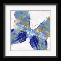 Blue Butterfly Framed Print