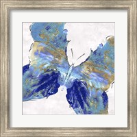 Blue Butterfly Fine Art Print