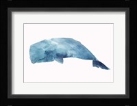 Whale Framed Print