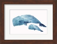 Whale Baby Fine Art Print