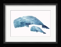Whale Baby Framed Print