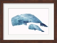 Whale Baby Fine Art Print