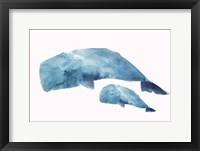 Whale Baby Framed Print
