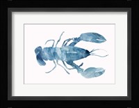 Blue Lobster Framed Print