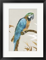 Blue Parrot I Fine Art Print