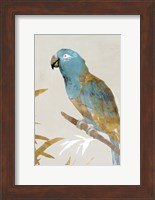 Blue Parrot II Fine Art Print