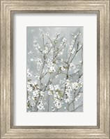 Light Almond Blossoms Fine Art Print