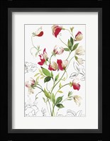 Florecer II Framed Print