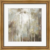 Fine Birch I Fine Art Print