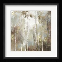 Fine Birch I Fine Art Print