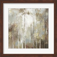 Fine Birch I Fine Art Print