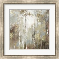 Fine Birch I Fine Art Print