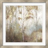 Fine Birch II Fine Art Print