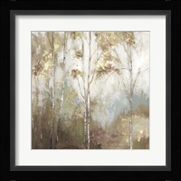 Fine Birch II Fine Art Print