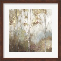 Fine Birch II Fine Art Print