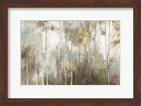 Fine Birch III Fine Art Print