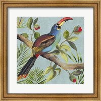 Paradise Toucan I Fine Art Print