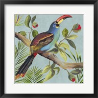 Paradise Toucan I Framed Print