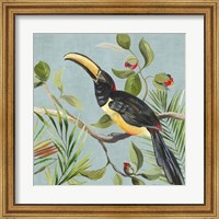 Paradise Toucan II Fine Art Print