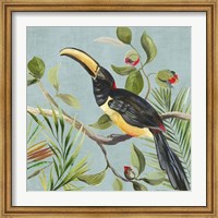 Paradise Toucan II Fine Art Print