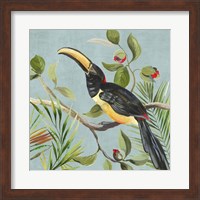 Paradise Toucan II Fine Art Print