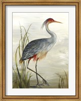 Grey Heron Fine Art Print