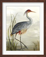 Grey Heron Fine Art Print