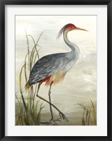 Grey Heron Fine Art Print