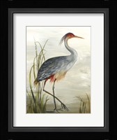 Grey Heron Fine Art Print