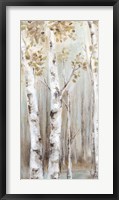 Sunset Birch Forest I Fine Art Print