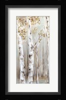 Sunset Birch Forest I Framed Print