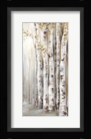 Sunset Birch Forest II Fine Art Print