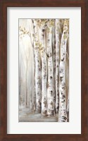 Sunset Birch Forest II Fine Art Print