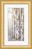 Sunset Birch Forest II Fine Art Print