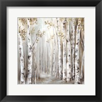 Sunset Birch Forest III Fine Art Print