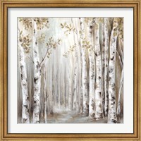 Sunset Birch Forest III Fine Art Print