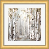 Sunset Birch Forest III Fine Art Print