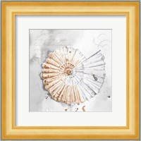 Blush Shell II Fine Art Print