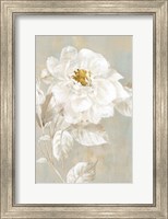 White Rose I Fine Art Print