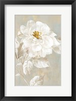 White Rose I Fine Art Print