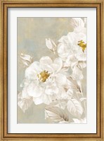 White Rose II Fine Art Print