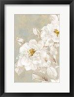 White Rose II Framed Print
