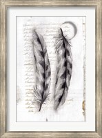 Vintage Feathers I Fine Art Print