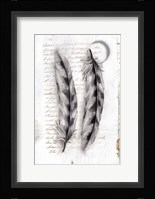 Vintage Feathers I Framed Print