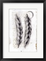 Vintage Feathers I Framed Print